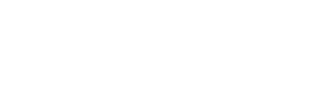 2025 Conveyx Rev White